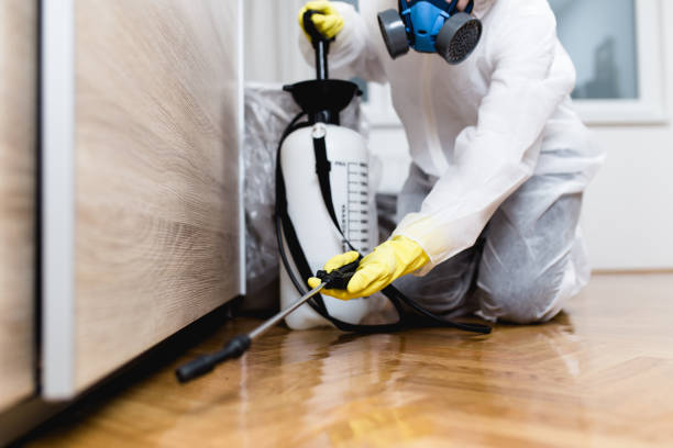 Best Exterminator Services  in Lookout Mountain, GA