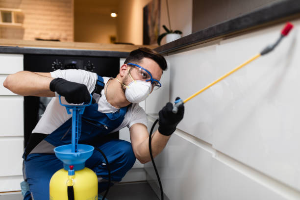 Best Best Pest Control Companies  in Lookout Mountain, GA