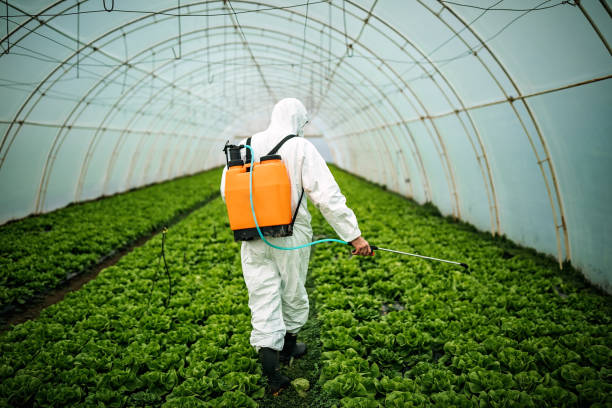 Best Affordable Pest Control Services  in Lookout Mountain, GA