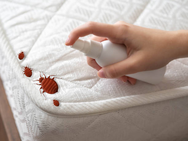 Best Pest Removal Services  in Lookout Mountain, GA